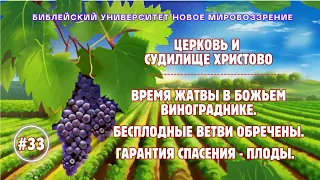 Церковь и Судилище Христово. Время Жатвы | Семинар 33 | Алексей Ледяев | 08.05.24