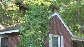 Residents in West Columbia clean thunderstorm damage