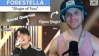 Opera Singer Reaction (& Analysis) - FORESTELLA | "Shape of You" (LIVE)