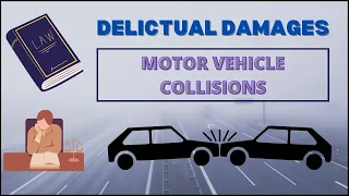 Particulars of Claim - Delictual Damages