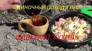 Одиночный поход в лес. Бушкрафт кухня.