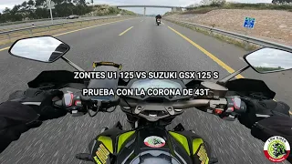 SUZUKI GSX 125cc S  VS ZONTES U1 125cc (AUTOVÍA)