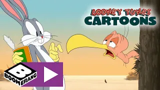 Looney Tunes Cartoons | Saftig kanin | Boomerang Norge