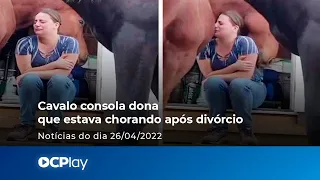 Cavalo consola dona que estava chorando após divórcio