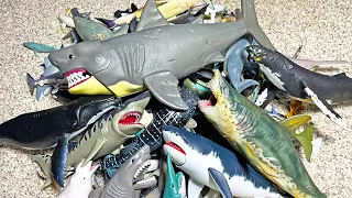 Sea Animals Collection - Sharks, Whales, Dolphins, Megalodon, Beluga, Whale Shark, Orca