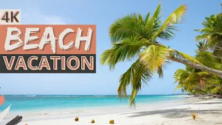 4K Tropical BEACH AMBIENCE on an ISLAND in the Dominican Republic with Ocean Sounds for Relaxation