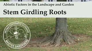 Stem Girdling Roots - Abiotic Factors in the Landscape and Garden