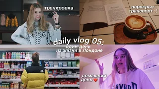 DAILY VLOG 05: домашний день со мной 🏡 // тренировка