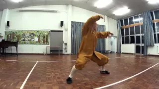 Shaolin Lian Huan Quan 少林连环拳