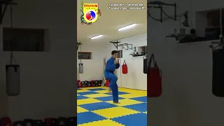 Tan phap Vovinam so 1 / Тан фап Вовинам № 1 с ударами