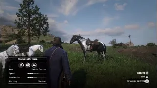 Red Dead Redemption 2 How To Get The Hungarian Halfbred Piebald Tobiano Early In Chapter 2