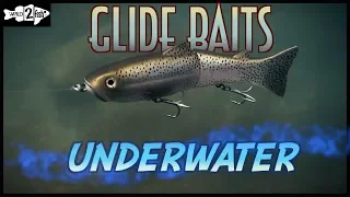 Choosing Glide Baits for Bass Fishing | Underwater Comparisons