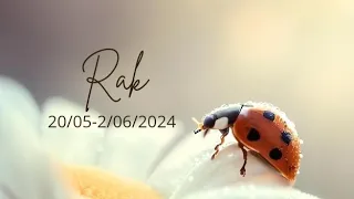 Rak ♋ 20/05-2/06/24 🐞 Narodzisz się ponownie. Nowe spojrzenie na świat przyniesie obfitość i miłość.