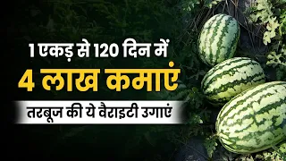 तरबूज की Hi-Tech Farming |  कम पानी की जबरदस्त खेती | Watermelon Farming 🍉 | Tarbooj ki Kheti