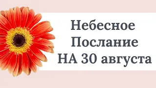 Небесное послание на 30 августа. Чудеса в вашей жизни.