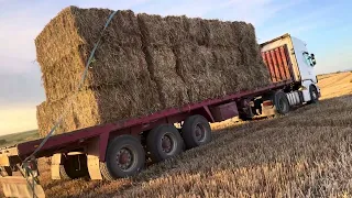 Conque rapidez se carga un camión. Si levantaran la cabeza los antiguos