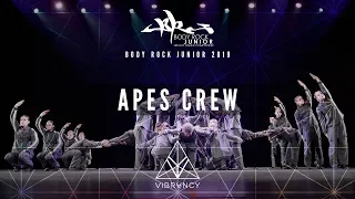[3rd Place] Apes Crew | Body Rock Jr 2019 [@VIBRVNCY Front Row 4K]
