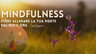 Meditazione Mindfulness - Come allenare la tua Mente nel Qui e Ora