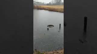 Pond Overflow After Snow