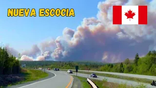 ⚠️¡INCENDIOS FORESTALES en CANADÀ estàn "FUERA DE CONTROL".🔥