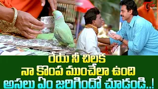 రేయ్ నీ చిలక నా కొంప ముంచేలా ఉంది.! Actor Venkatesh Comedy Scene | Navvula Tv