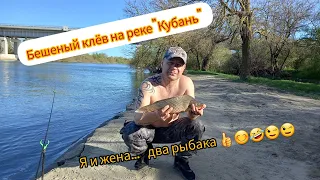 Бешеный  клёв  на  реке  "Кубань " .  4  апреля 2024г.