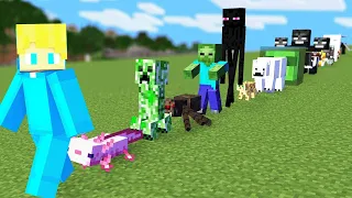 Minecraft, aber ICH HABE eine SUPER MOBS ARMEE