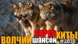 Волчий Шансон - Супер хиты русского шансона