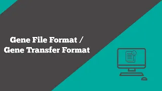 Bioinformatics: Gene file format | What is a GFF file? | File Firmat | BioCode Ltd
