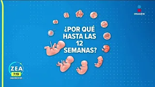 ¿En qué estados de México es legal el aborto? | Noticias con Francisco Zea