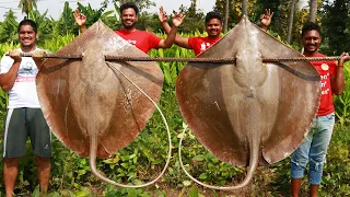 GIANT STINGRAY FISH COOKING | Stingray Fish Cutting and Cooking By Grandpa Kitchen