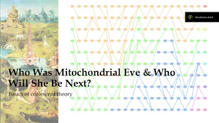 Who Was Mitochondrial Eve & Who Will She Be Next?