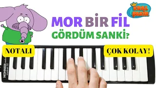 KRAL ŞAKİR - Necati'nin Şarkısı || MOR BİR FİL GÖRDÜM SANKİ? || Melodika notaları