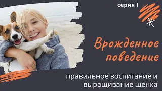 Врожденное поведение. Серия 1