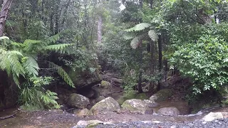 Clover Hill Trail, NSW, Australia. Part Two.