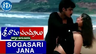 Sriramachandrulu Movie - Sogasari Jana Video Song || Sivaji || Rambha || Ghantadi Krishna