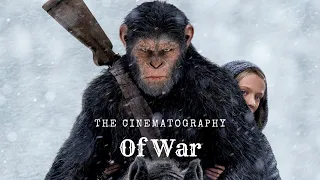 The Cinematography of War