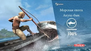 Assassins Creed IV -Морская охота "Акула-бык"