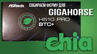 Чиа ферма на Gigahorse