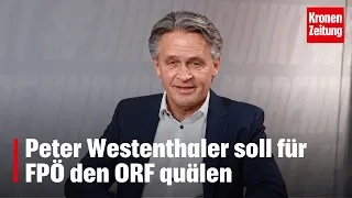 Peter Westenthaler soll nun für FPÖ den ORF quälen | krone.tv NEWS