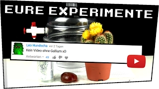 EXPERIMENT / GALLIUM, Fleisch und MEHR im VAKUUM ! - Eure Experimente #03