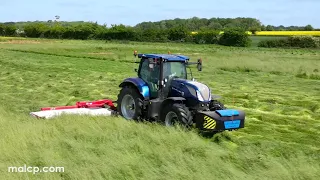 4k Hay Harvest 2023 - New Holland T7.225 Blue Power & Lely Splendimo 320 M mower in Suffolk