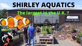 Inside the UK’s largest aquatic store