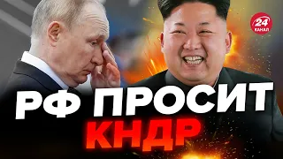 🔴Путин так низко пал, в РФ дожились! Чем обернется встреча с Ким Чен Ыном? @TIZENGAUZEN​