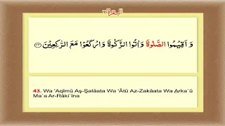 Al-Baqarah Surah 02 - Ayat -43 Word by word learning Quran in video in 4K