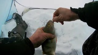 Вот это лунка! Под ней вся рыба.Рыбалка на Оби.