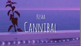 Kesha - Cannibal (lyrics)