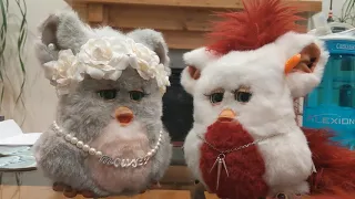 Two 2005 Furbies talk to each other.