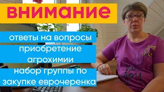 Набор группы на еврочеренок. Семена. Агрохимия. Каталог. Ответы на вопросы.