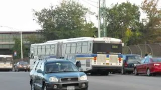 Bee-Line Bus: White Plains Bound AN-460 506 Rt.20X at Bedford Park Blvd/Paul Av